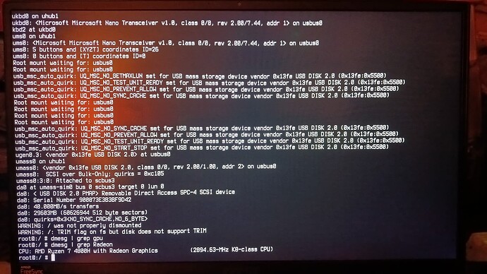 Result from running "dmesg | grep Radeon"