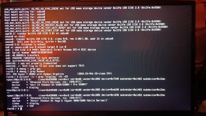 Result from running "pciconf -lv | grep "display" -A1 -B3"